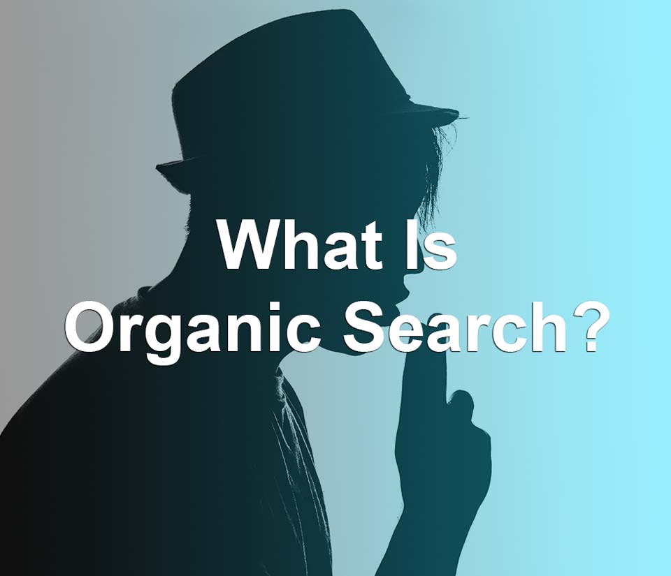 what is organic search